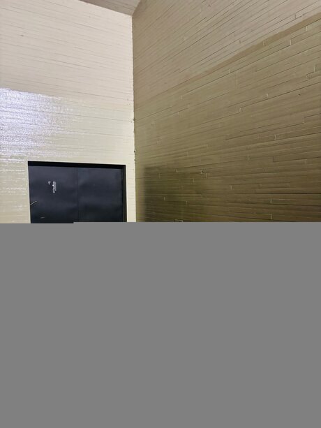 natural ass onlyfans free xxx pictures