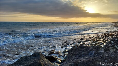 shower fuck onlyfans art porn archive