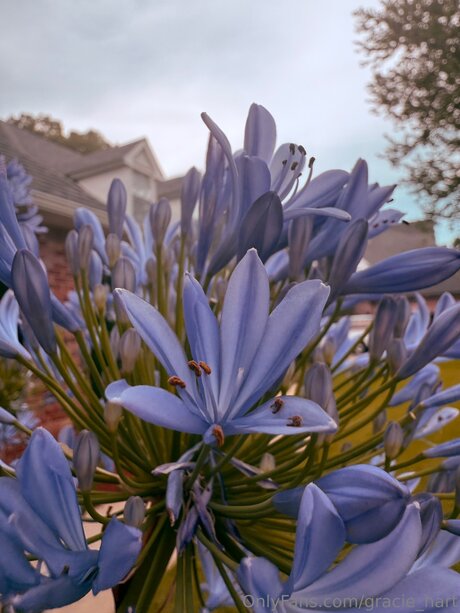 Gracie Hart star exclusive pics