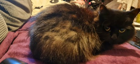 joebutnsfw pornstar sex galleries