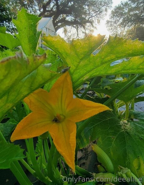 selfie nude onlyfans sexy nudes photos