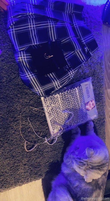 honeygold model pretty image