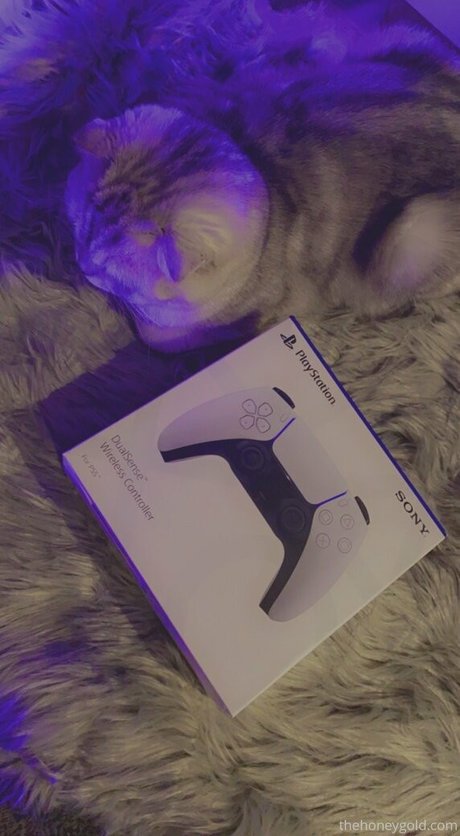 honeygold top actress images