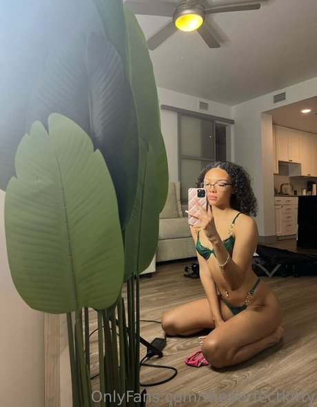 theperfectkitty star sex picture