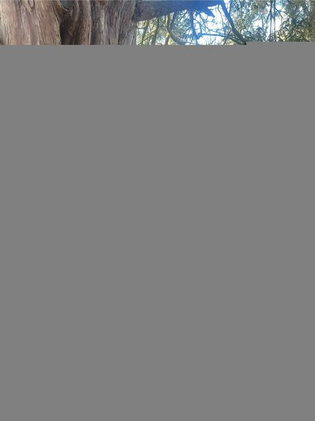 Petite Romani 69 exclusive actress pic