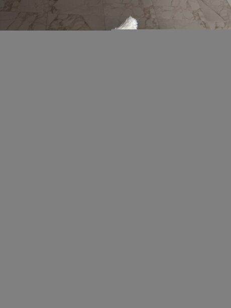 Bella Yammy top actress pic