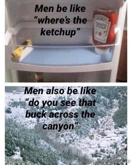 Thekatykatvip model sex archive