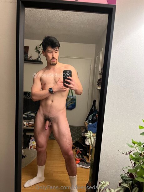 Vibesxxx hd star images