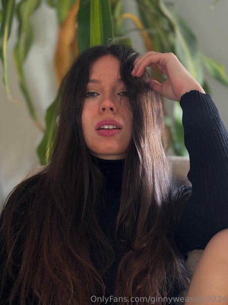 Dominga2024 Profile Pic