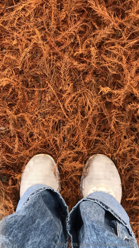 Dominga2024 star sex photos