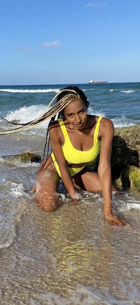 Saintannefree star erotic gallery