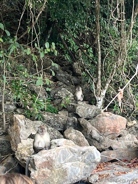 Nordicguy94 sex pornstar images