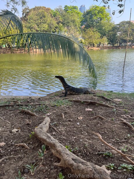 Nordicguy94 free star picture