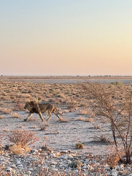 lesbian feet onlyfans hot sexy galleries