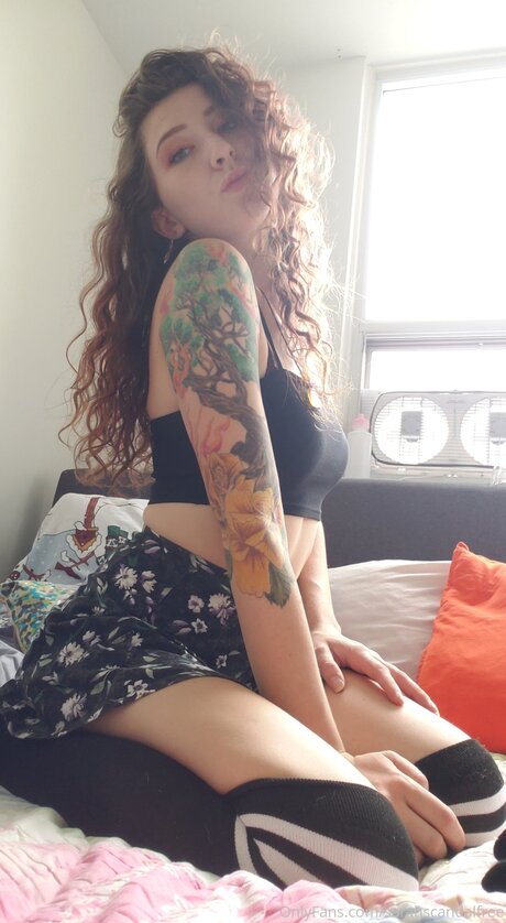 Dumbcuntfree hot star img