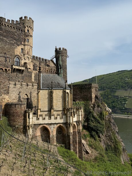 Travelsunshine top star image