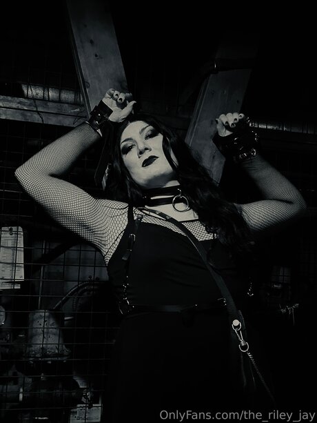 The Riley Jay art star pictures