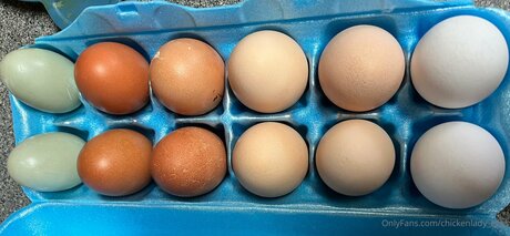Chickenlady Eggs star nudes img