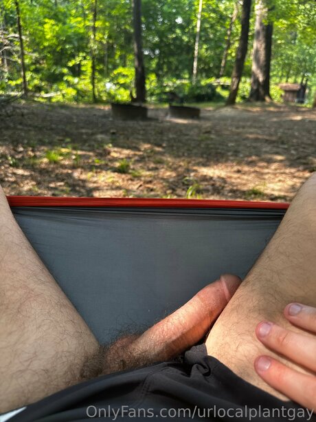 Urlocalplantgay beautiful star archive