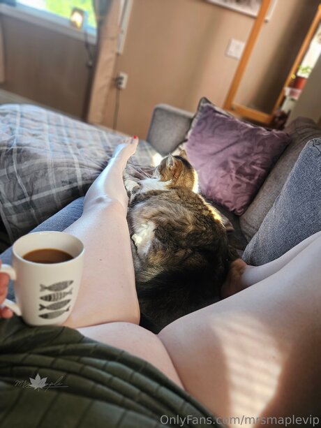 milf pussy onlyfans top image