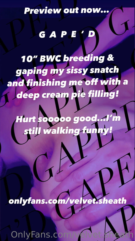 Velvet Sheath star pictures