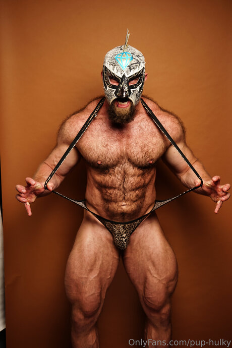 Pup Hulky model sex img