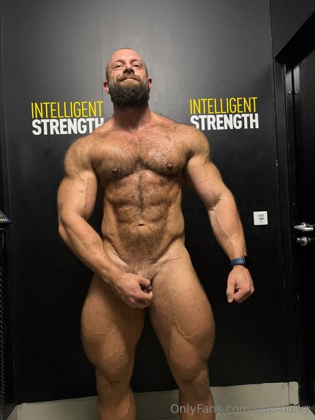 Pup Hulky star best pics