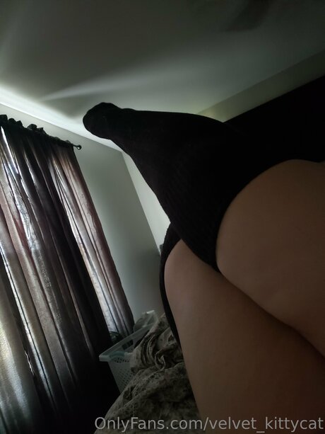 Velvet Kittycat star perfect galleries