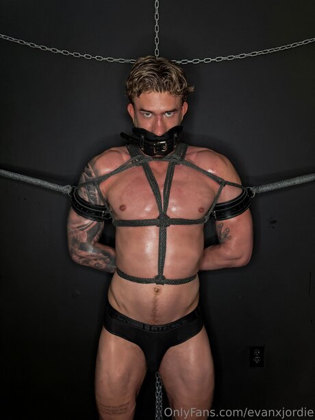 Evanxjordie pornstar sexy gallery