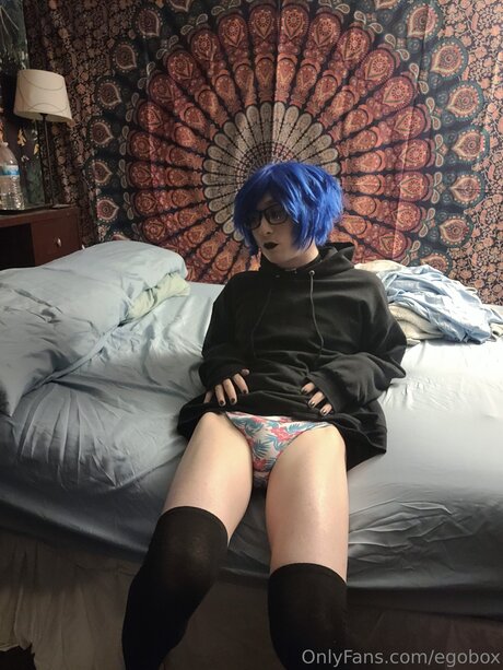 Egobox model art pic