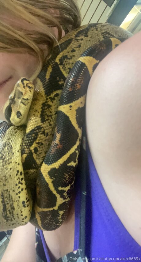 Xsluttycupcakex6669x top pornstar pictures