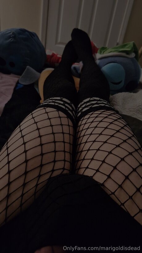 Marigoldisdead pornstar best gallery