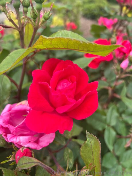 asian footjob onlyfans naked pics