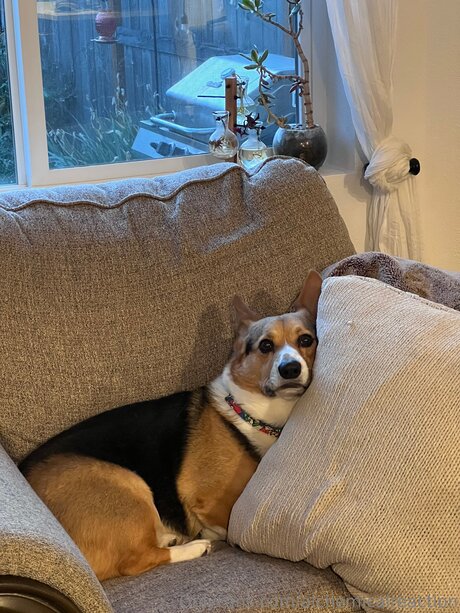 blonde deepthroat onlyfans naked picture