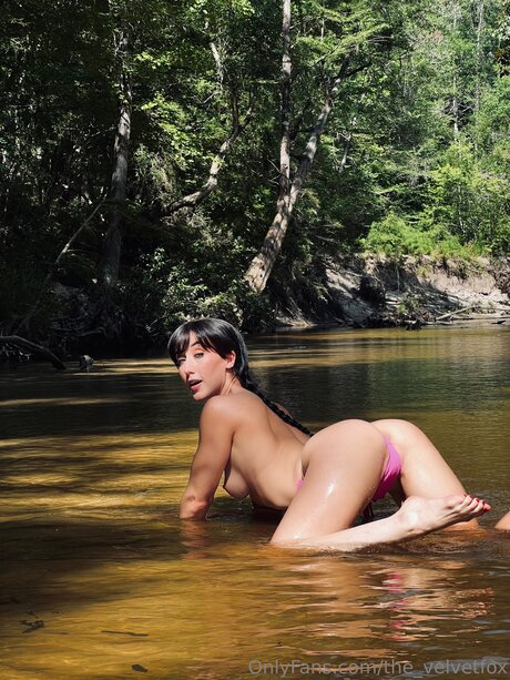 The Velvetfox model free archive