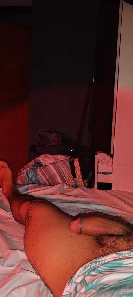 Santoxpe model art images