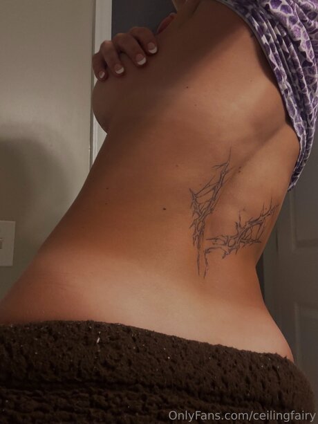 Ceilingfairy naked model img