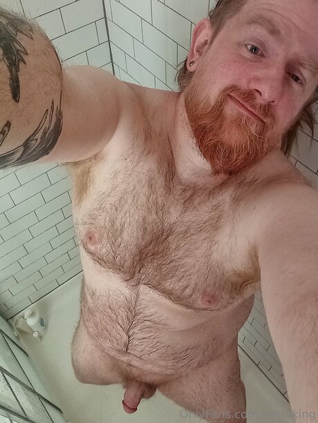 Mtnvking star high quality pic