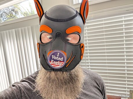 Pupbuster best model archive