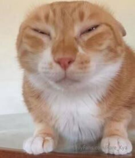 Rare Kya pretty model archive