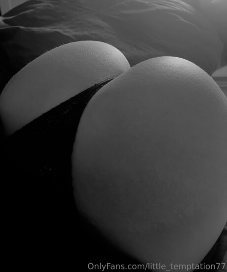 Little Temptation77 star top picture