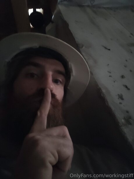 Workingstiff art actress image