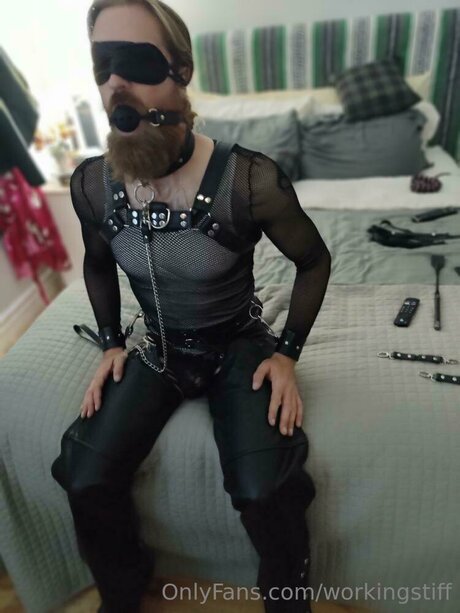 Workingstiff model hot img