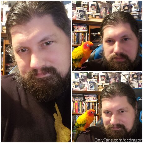 Dcdragon pornstar erotic pictures