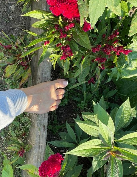 sunnymei model galleries