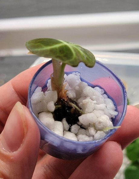 momgenes22 hot model photos