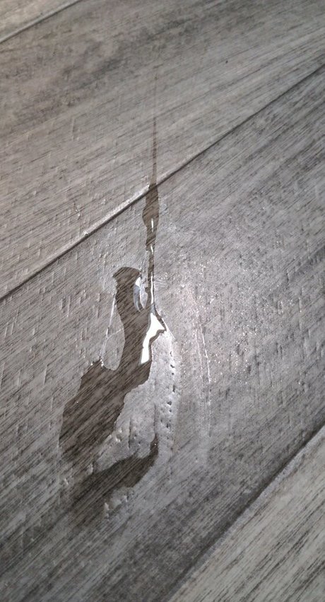 any1 4abj model gallery