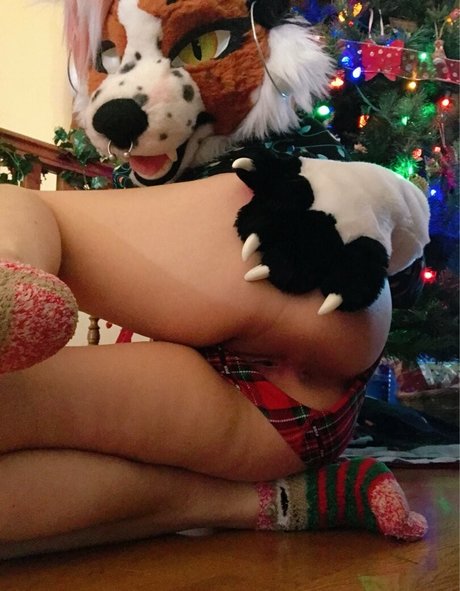 fox anatomy actress images