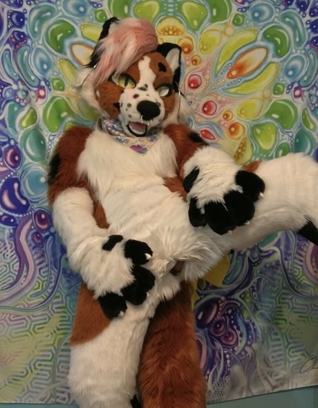 big ass onlyfans top picture