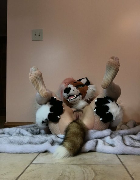 fox anatomy model high quality img